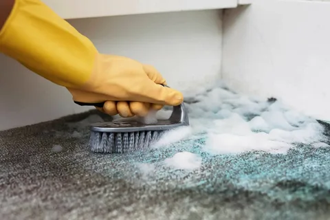 Commercial mould cleaning Sydney